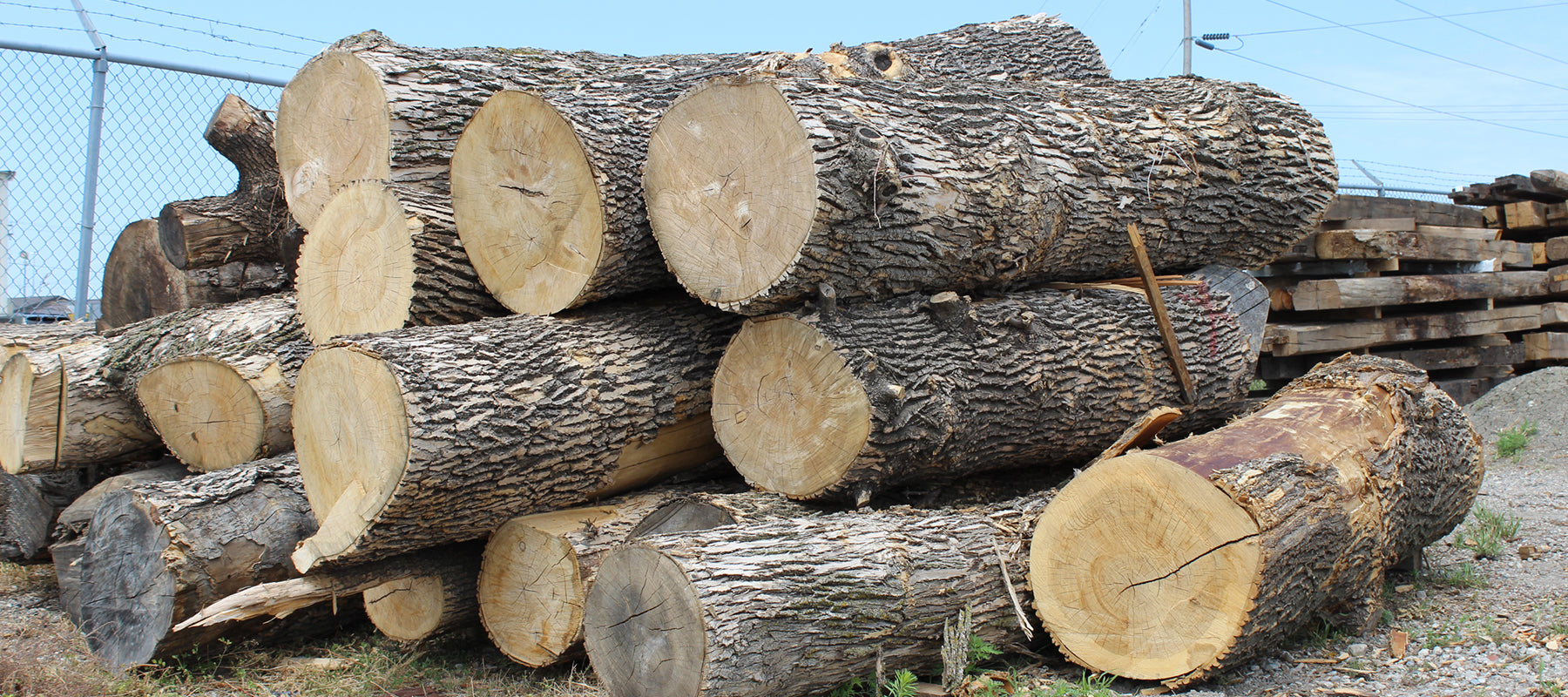 Urban Lumber - Dakota Timber Company - Fargo ND