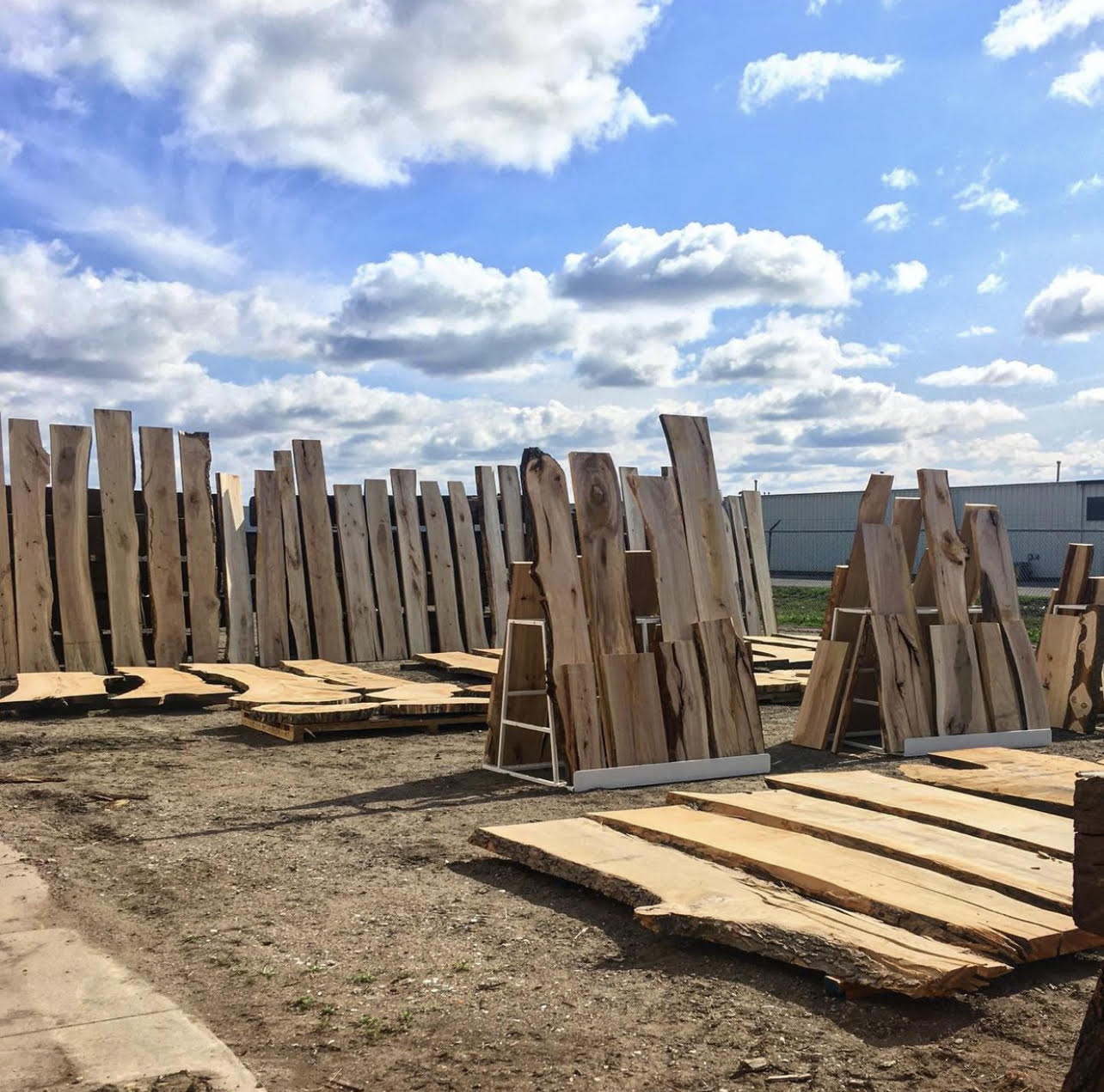 Dakota Timber Company | Hardwood Live Edge Slabs | Lumber Sales