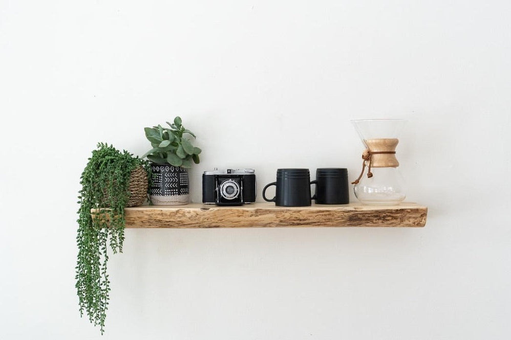 Wooden shelf with plants, camera, and mugs on a white wall