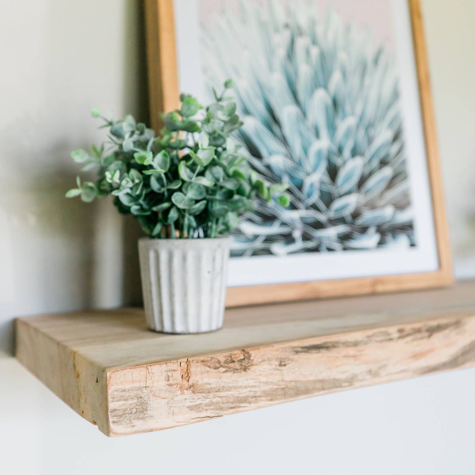 Custom Live Edge Floating Shelf - Dakota Timber Company Shelves - Fargo, ND - Live Edge Wood