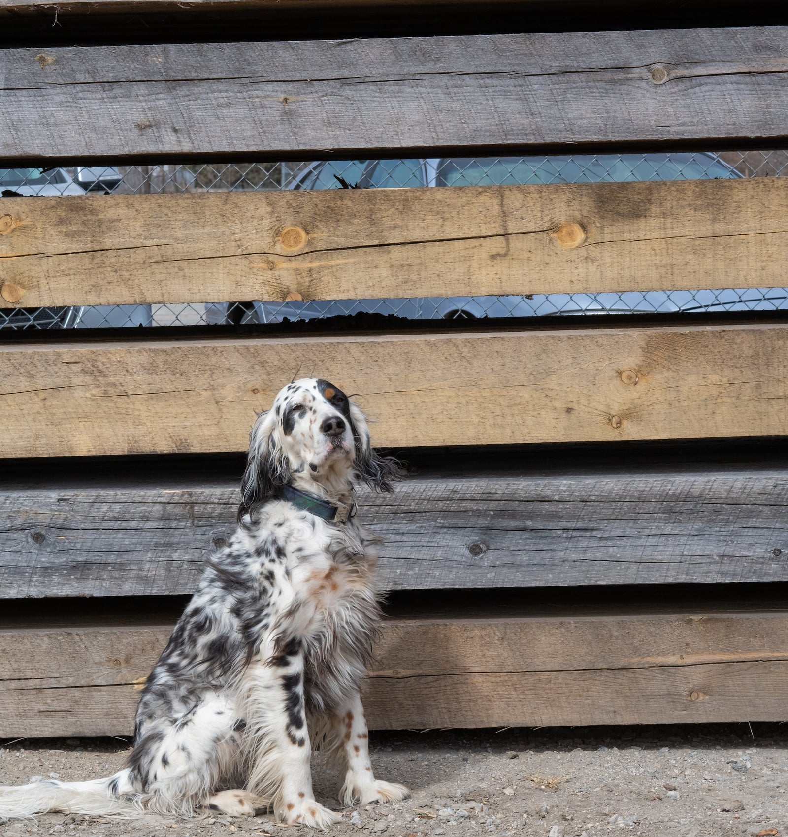 In-Stock Beams, Pick-Up Only - Dakota Timber Co